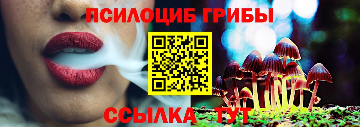 Красноперекопск  Галлюциногенные грибы ЛСД  Вход с VPN 